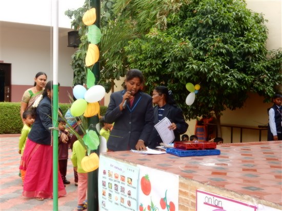Vegetable Day 